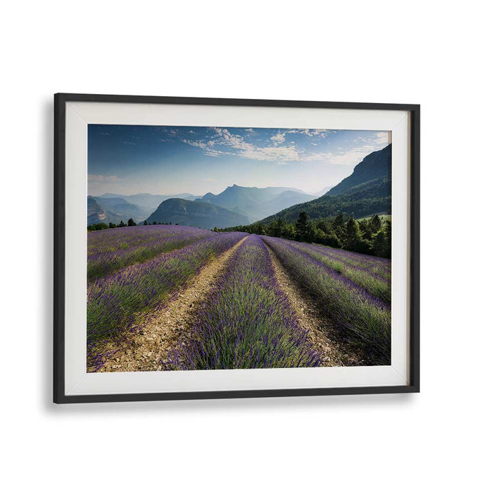 LAVENDER HILLS BY STEFAN HEFELE , LANDSCAPE PHOTO PRINTS