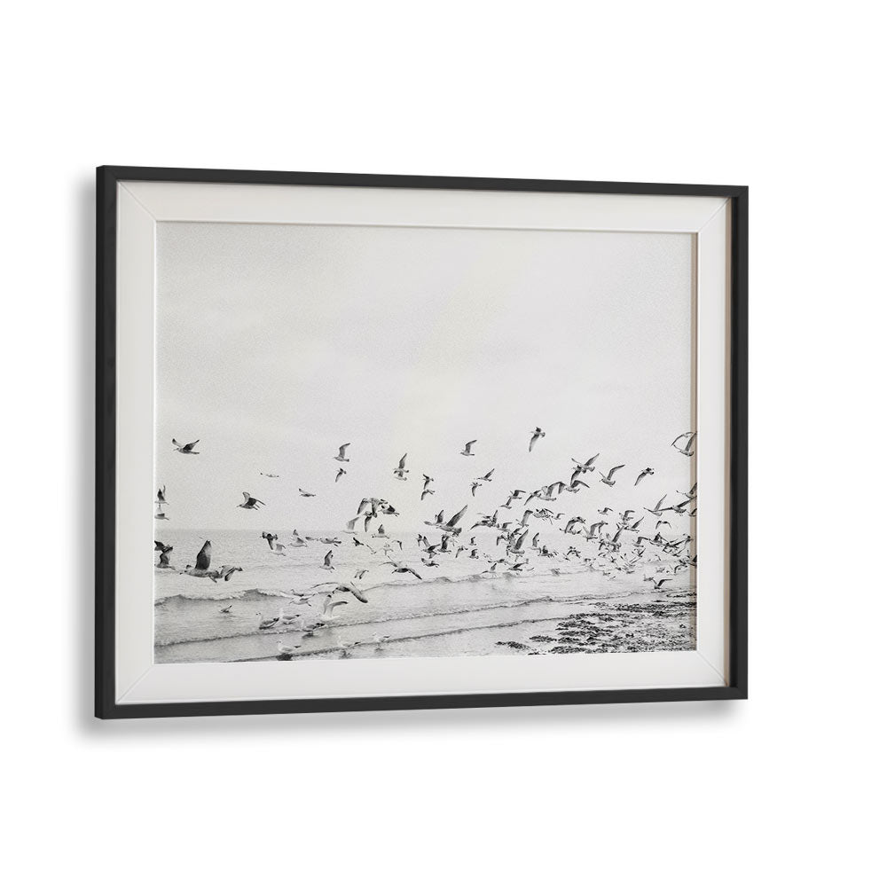 SEAGULLS - COASTAL BLACK AND WHITE BY RAISA ZWART , LANDSCAPE PHOTO PRINTS