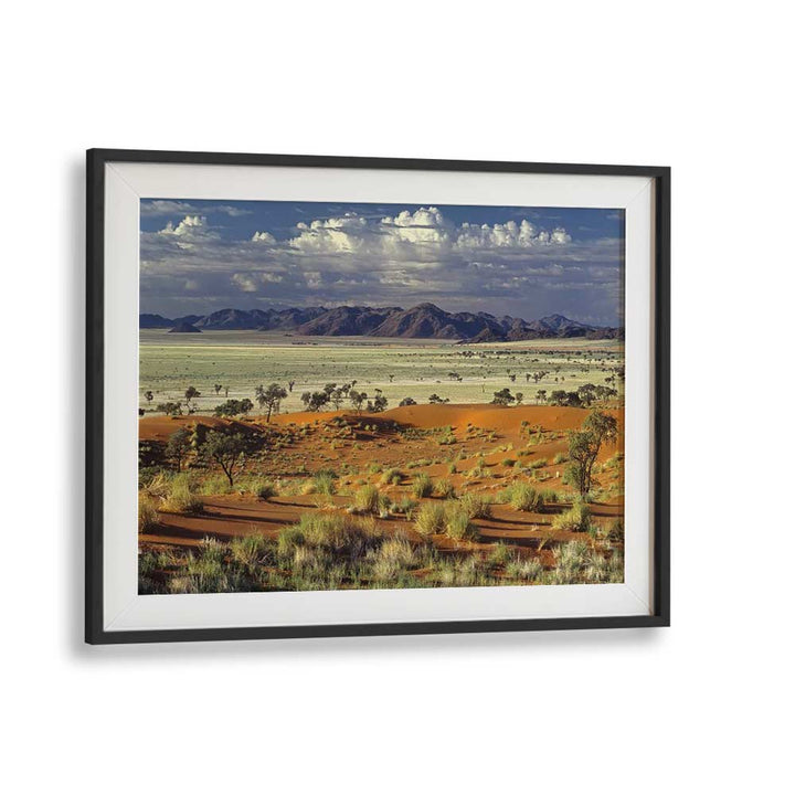 TOK TOKKIE DESERT , PHOTOGRAPHY PRINTS