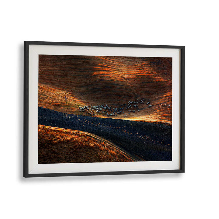 IL GREGGE , PHOTOGRAPHY PRINTS