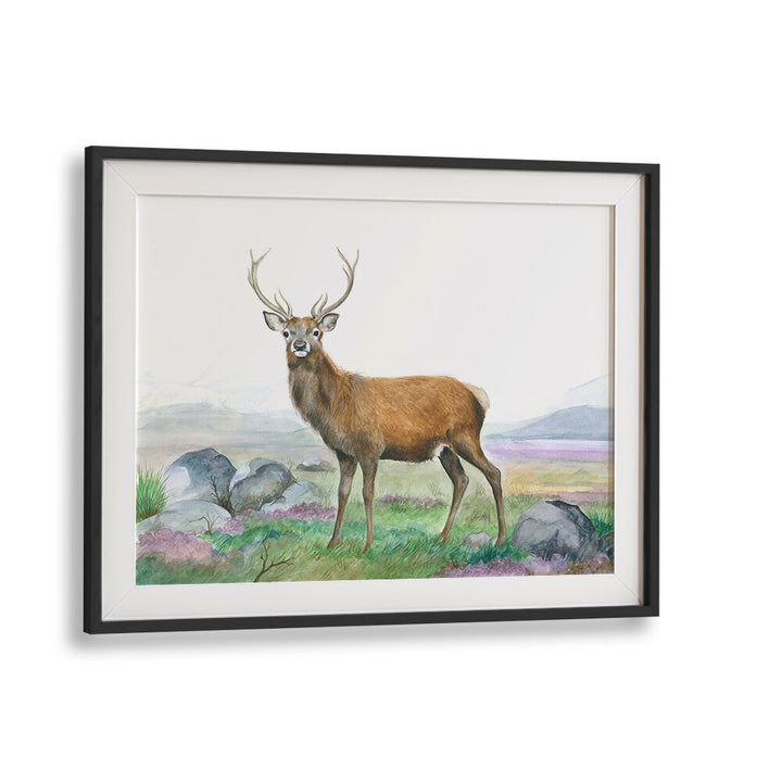MORELAND STAG , ANIMAL PAINTINGS