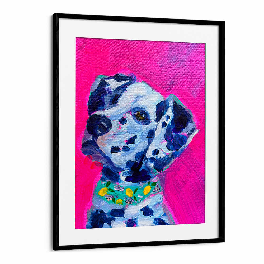 DALMATION , FASHION POSTERS BlackMount: Dalmatian portrait with couture collar on vibrant pink background