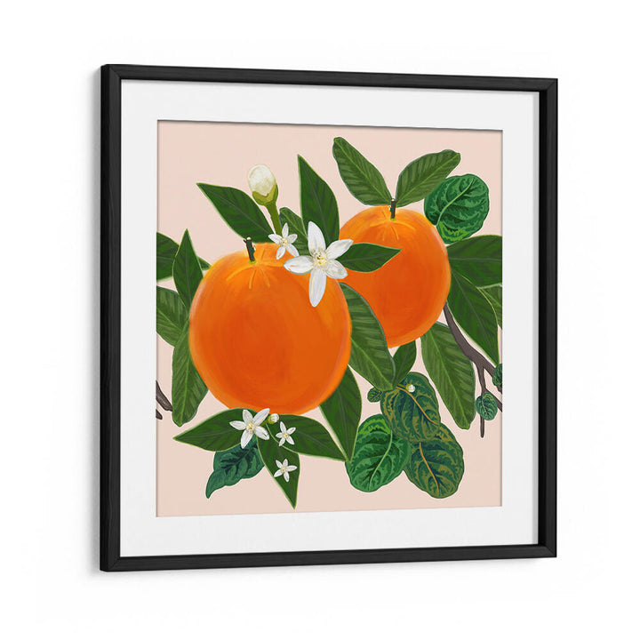 ORANGES , KITCHEN POSTERS