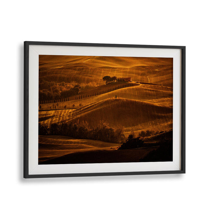 IL CIPRESSO , PHOTOGRAPHY PRINTS