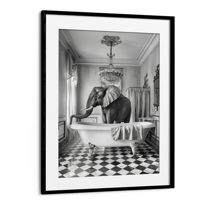 A BATHROOM OCCUPIED