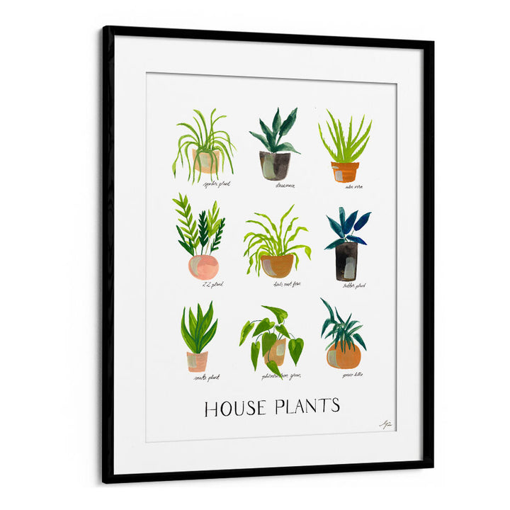 HOUSEPLANTS , FLORAL FLOWER PAINTINGS