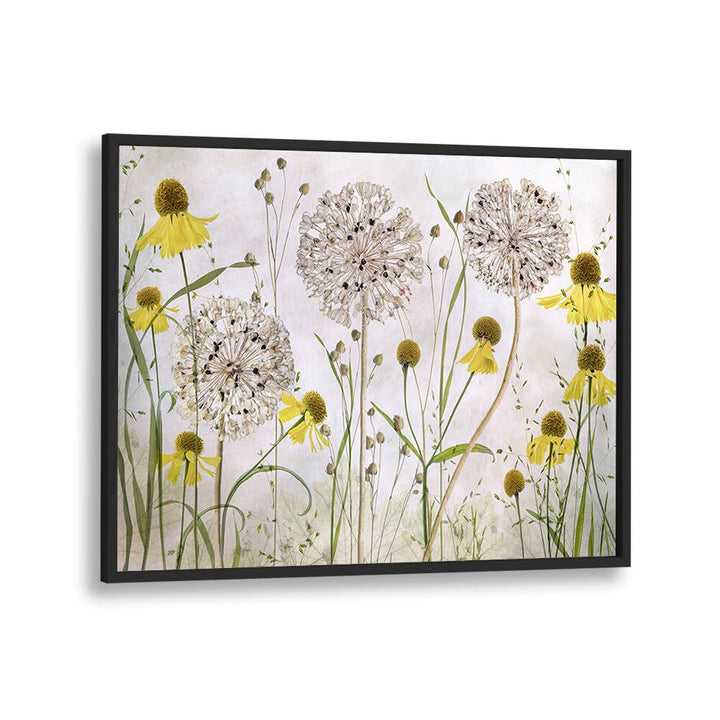 Vibrant ALLIUMS AND HELENIUMS, FLORAL FLOWER PAINTINGS elevate any space with stunning colors and textures.