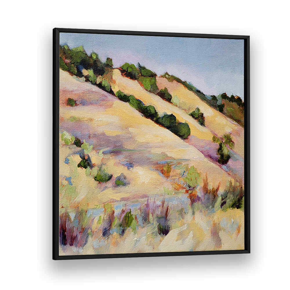 CENTRAL COAST , LANDSCAPE PAINTINGS