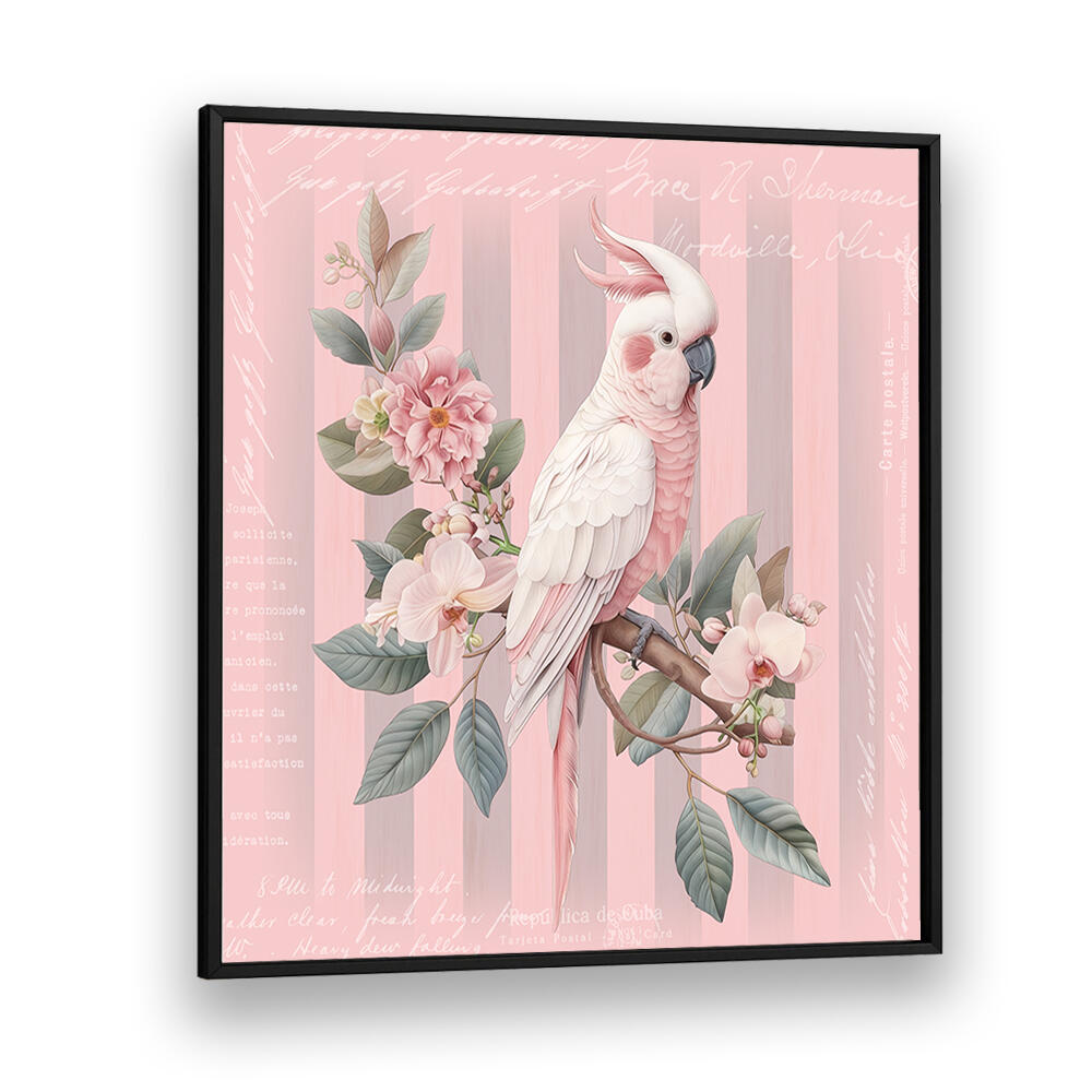 COCKATOO PASTEL PINK , ANIMAL PAINTINGS