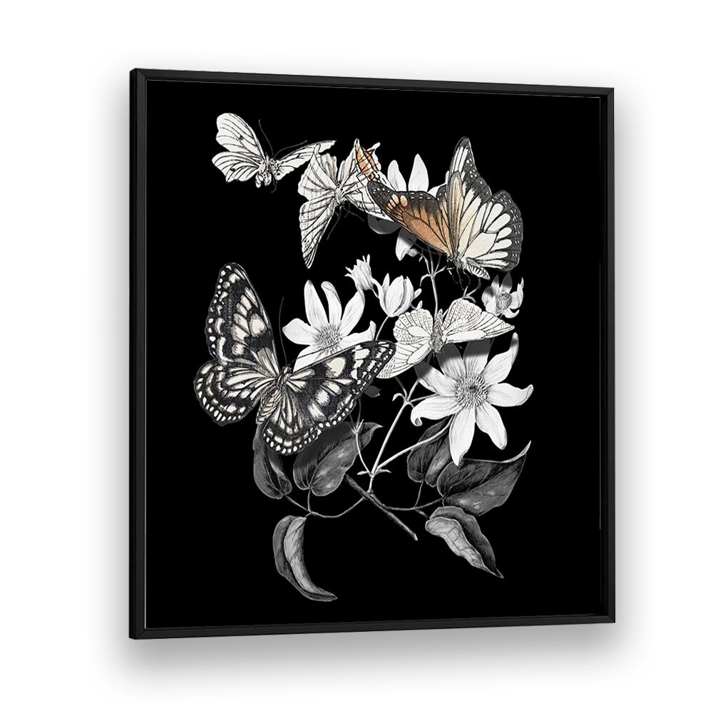 ELEGANT BOTANICAL BUTTERFLIES
