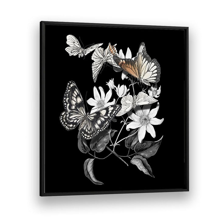 ELEGANT BOTANICAL BUTTERFLIES