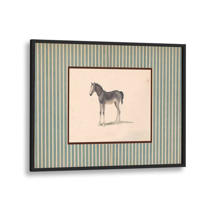 GENTLE FOAL PORTRAIT