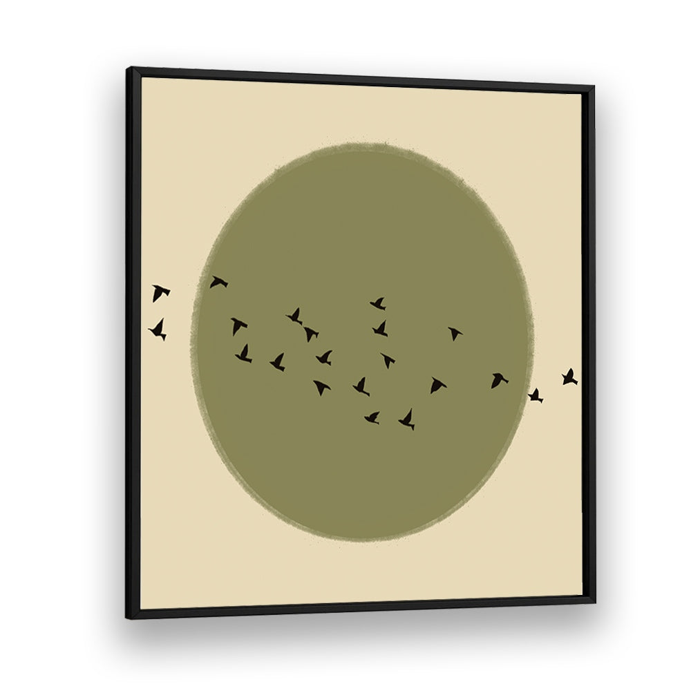 GRACEFUL BIRDS SOARING