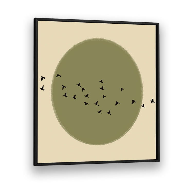 GRACEFUL BIRDS SOARING