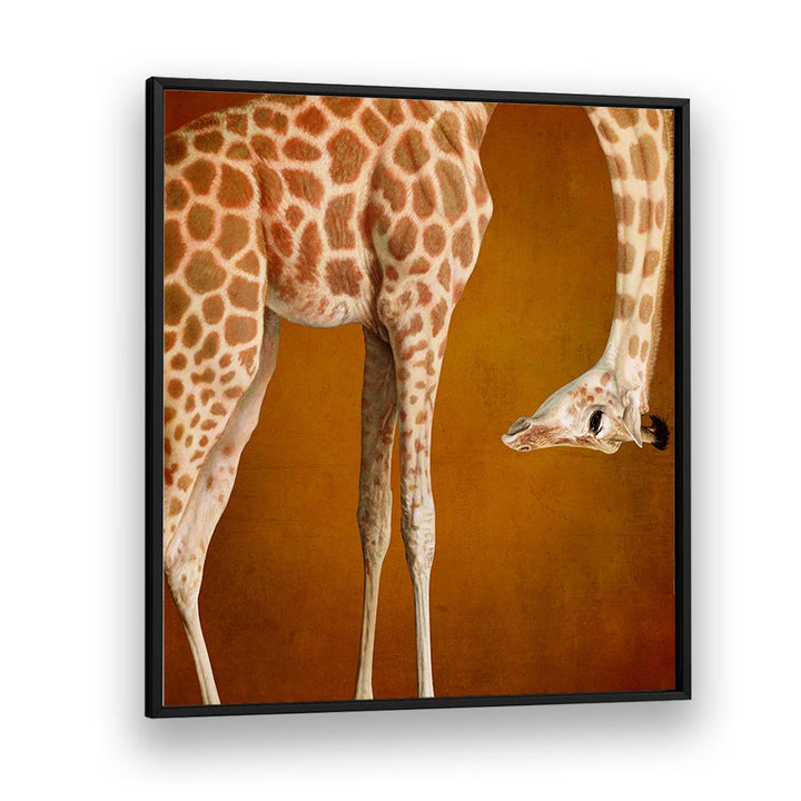 GRACEFUL GIRAFFE PORTRAIT
