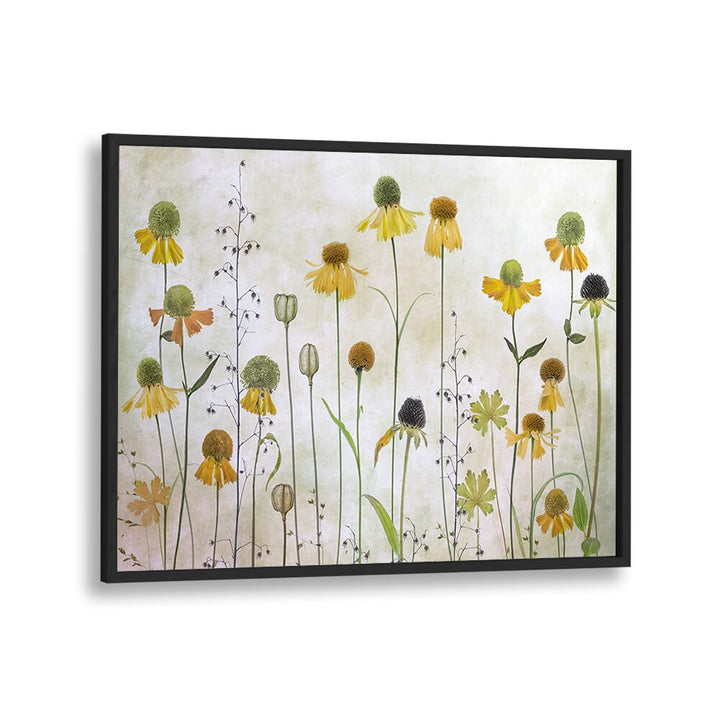 Stunning HELENIUM, FLORAL FLOWER PAINTINGS featuring vibrant blooms, perfect for enhancing your living space.