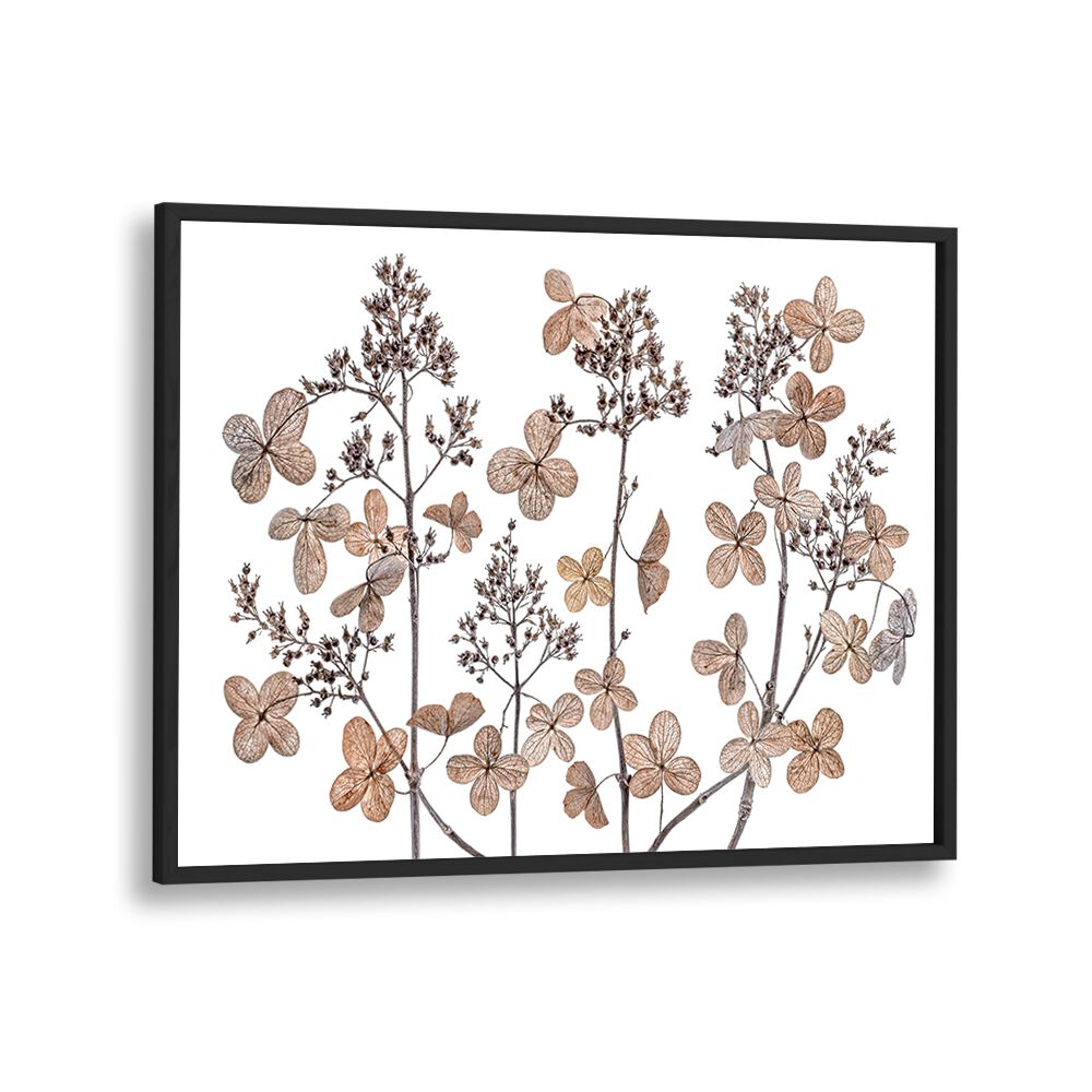 Stunning Hydrangea Paniculata, floral flower paintings featuring delicate blooms, perfect for home decor.