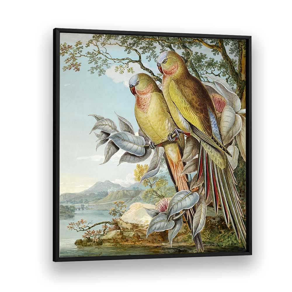 PARROTS IN TROPICAL LANDSCAPE