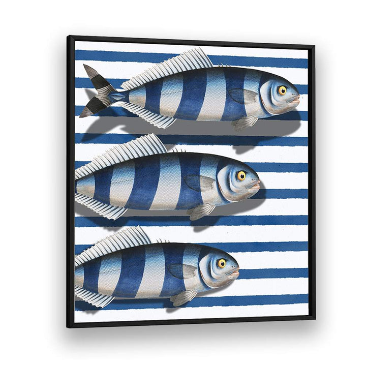 STRIPED OCEAN FISH
