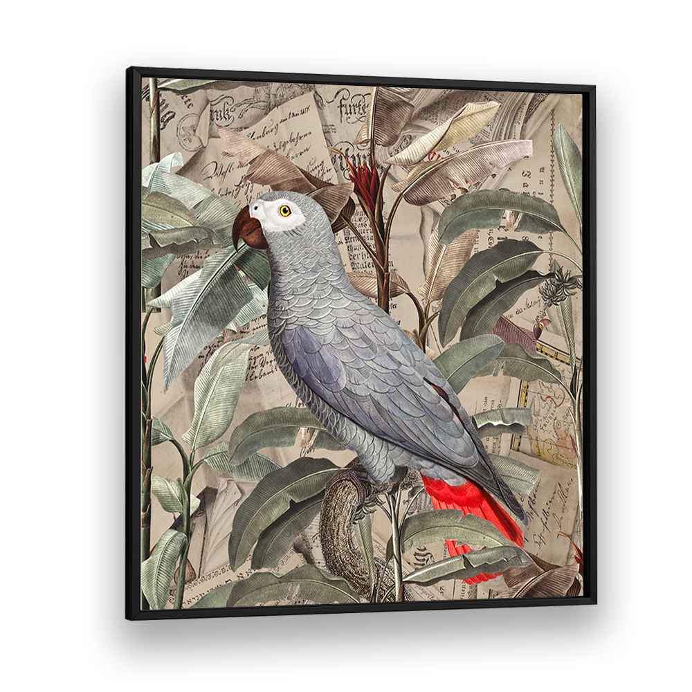 VINTAGE TROPICAL GREY PARROT