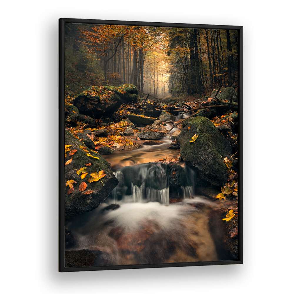 DREAMY AUTUMN BY STEFAN HEFELE , LANDSCAPE PHOTO PRINTS