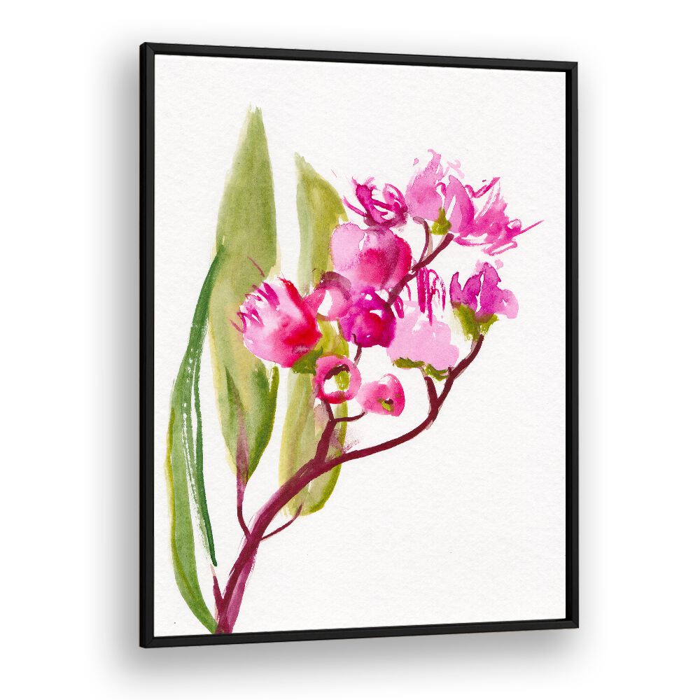 EUCALYPTUS , FLORAL FLOWER PAINTINGS