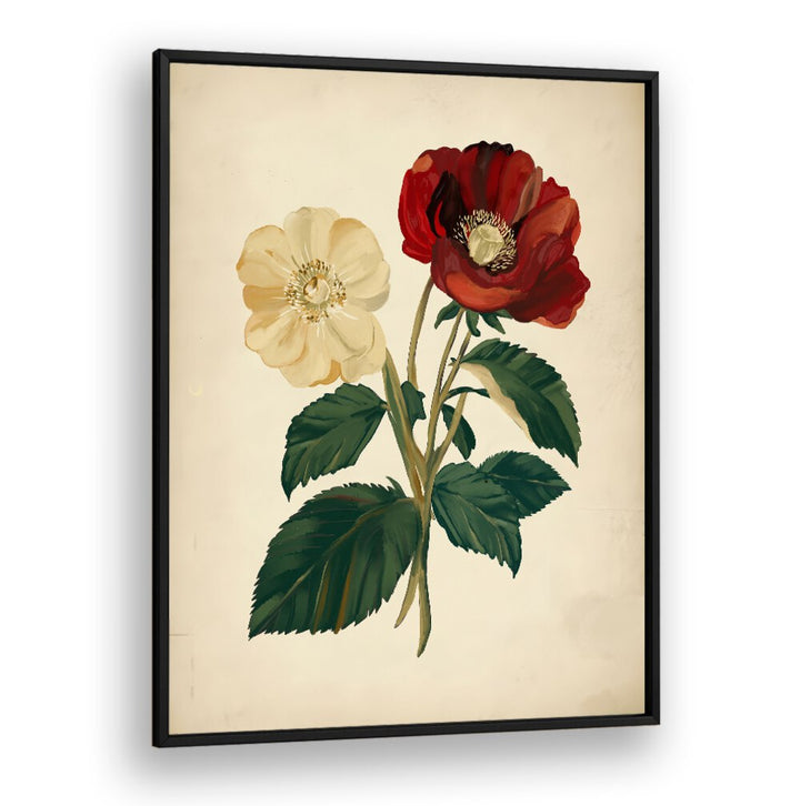 Elegant 18TH CENTURY BOTANICAL, FLORAL FLOWER PAINTINGS showcasing delicate flowers, perfect for home decor enthusiasts.