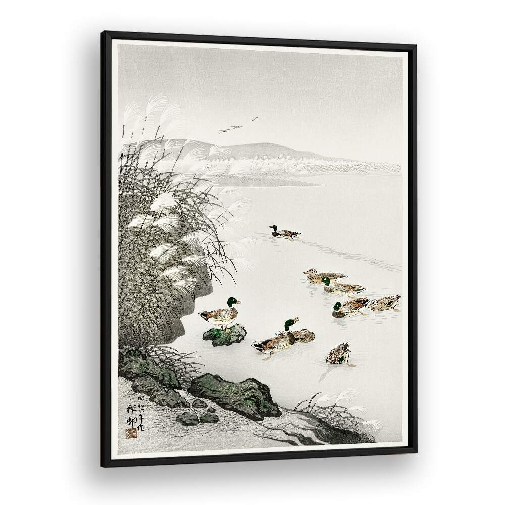 DUCKS IN THE WATER (1931)  , JAPANESE PAINTINGS , JAPANESE ART PRINTS