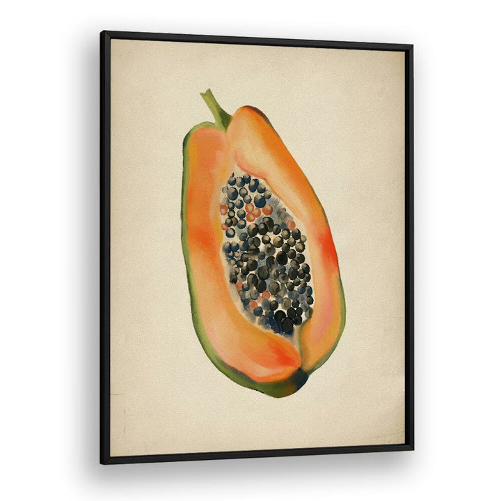 VINTAGE FRUIT- PAPAYA, KITCHEN POSTERS showcase a beautifully illustrated papaya, perfect for tropical kitchen decor.