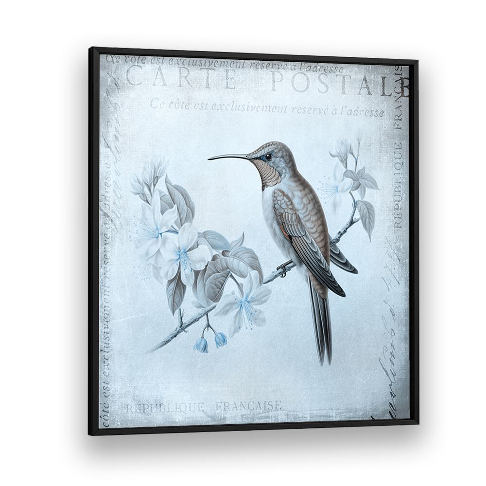 HUMMINGBIRD  ROMANCE AQUA BLUE BY ANDREA HAASE , WILDLIFE POSTERS, WILDLIFE PAINTINGS