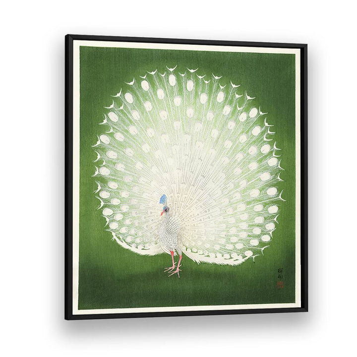 PEACOCK (1925 - 1936) , JAPANESE PAINTINGS , JAPANESE ART PRINTS