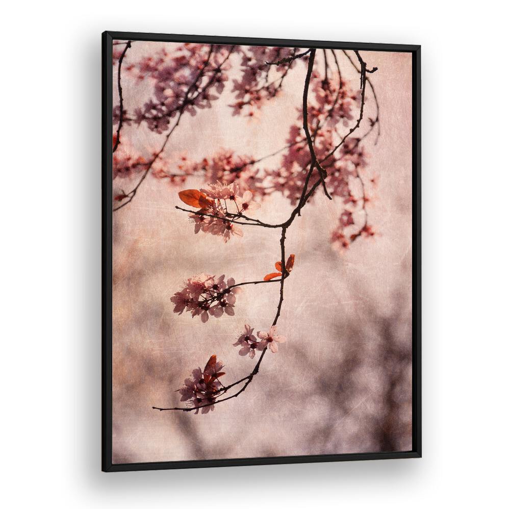 Delicate cherry blossoms adorn our VINTAGE PINK, FLORAL FLOWER PAINTINGS, perfect for a serene living space.