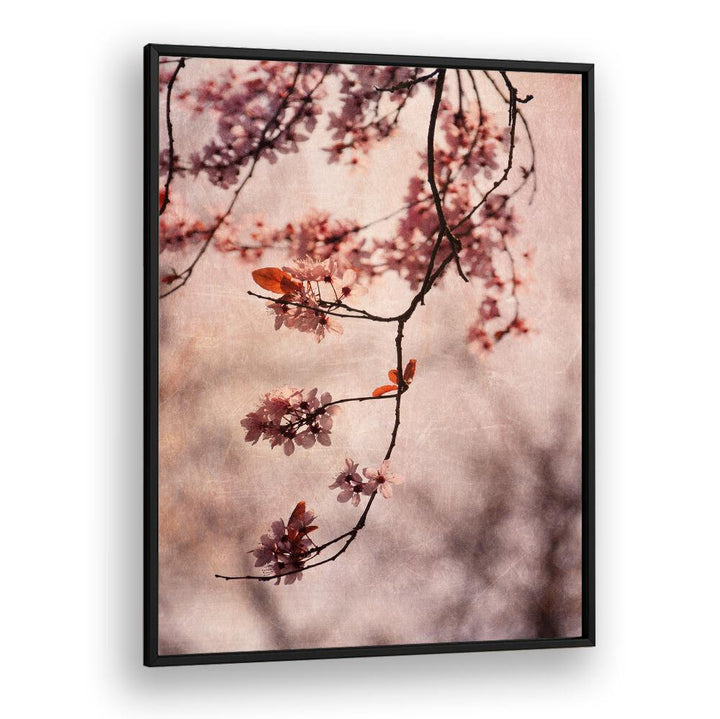 Delicate cherry blossoms adorn our VINTAGE PINK, FLORAL FLOWER PAINTINGS, perfect for a serene living space.