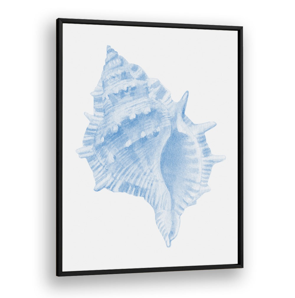 Elegant ONE BLUE CONCH, BEACH PAINTINGS artwork, perfect for enhancing your coastal-themed home decor.