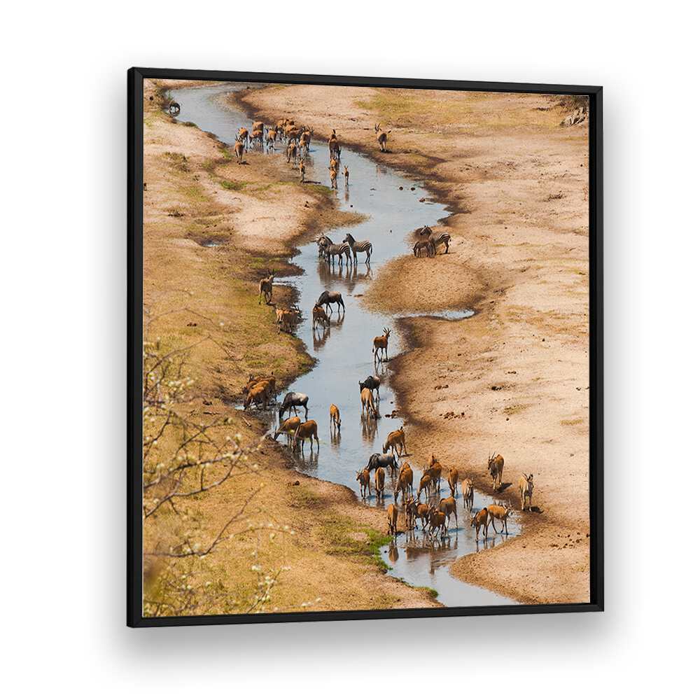 THE TARANGIRE RIVER BY MARC PELISSIER , LANDSCAPE PHOTO PRINTS