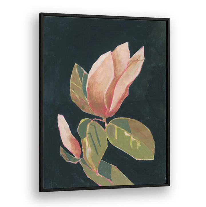 MAGNOLIA IN DARK BACKGROUND