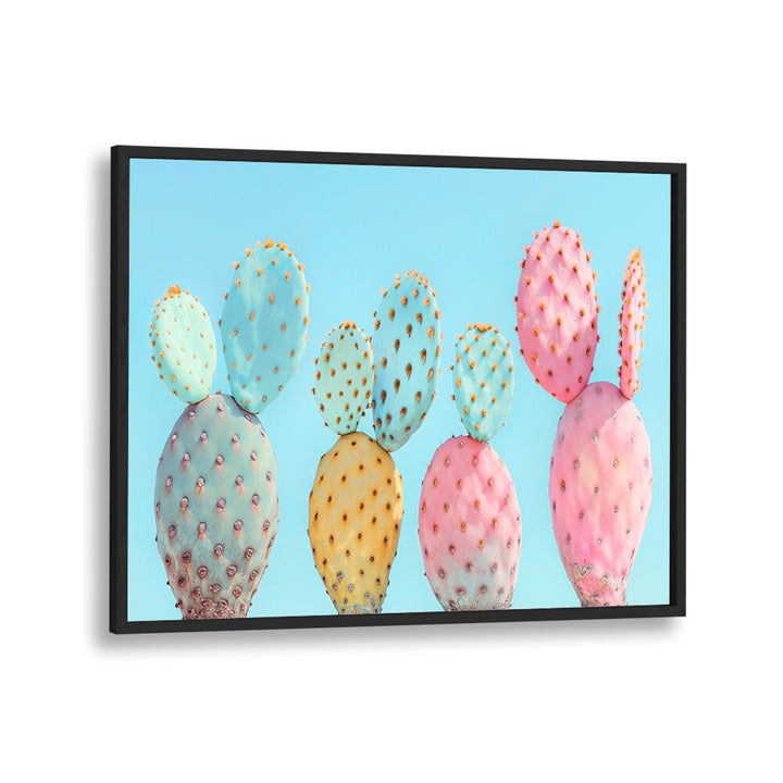 COLORFUL CACTUS  , BEACH PAINTINGS