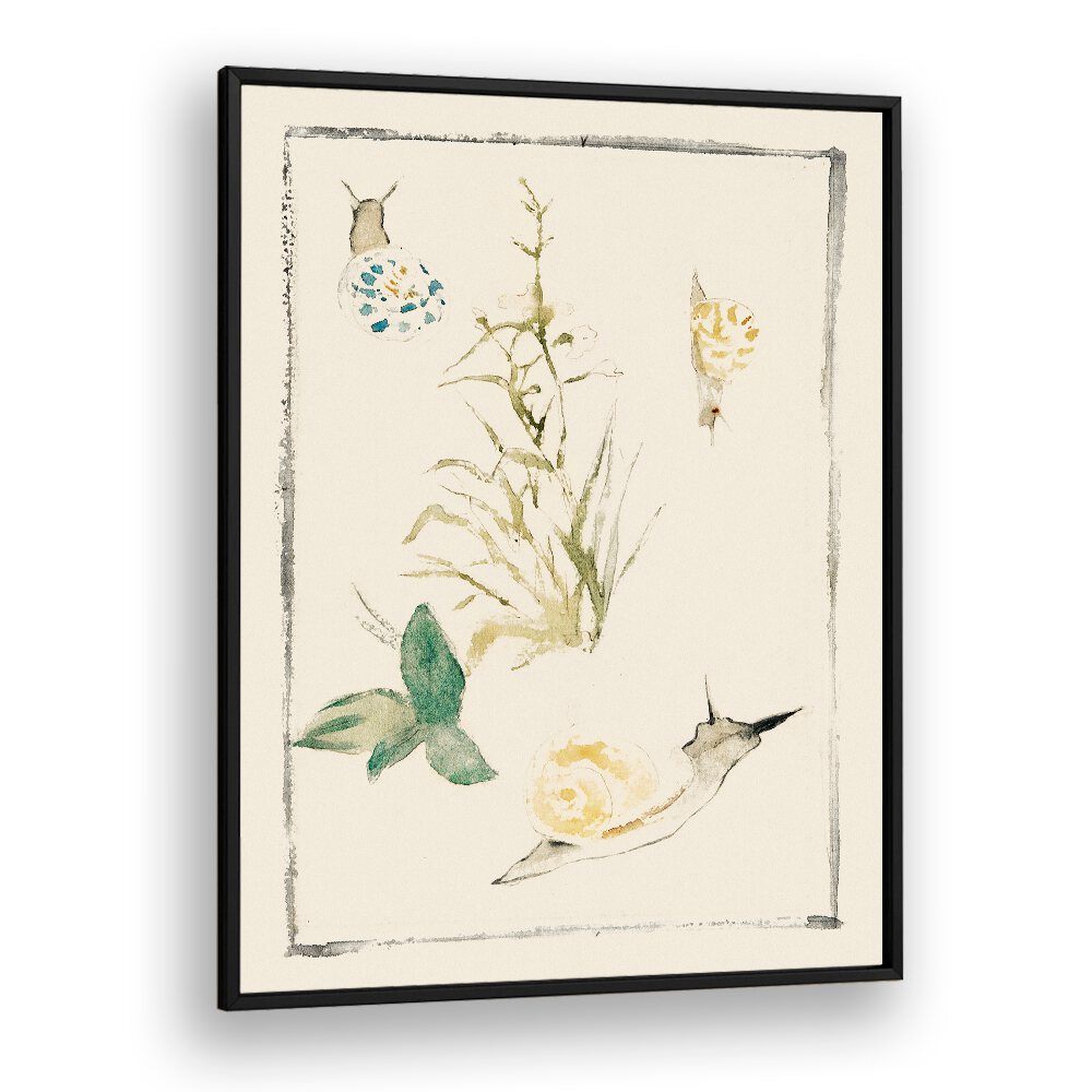 SKETCHES OF SNAILS, FLOWERING PLANT (1864–1868) BY EDOUARD MANET , VINTAGE PAINTINGS