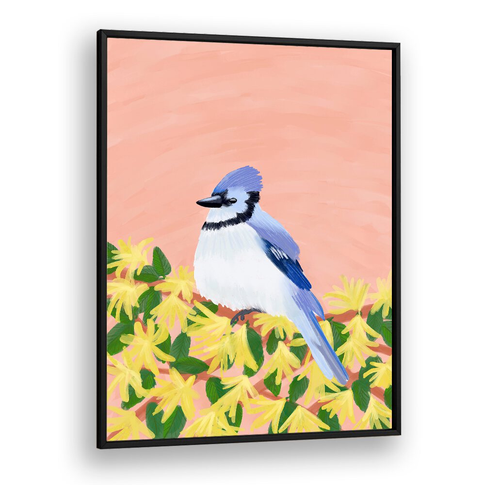 BLUE JAY BIRD , WILDLIFE PAINTINGS , WILDLIFE POSTERS