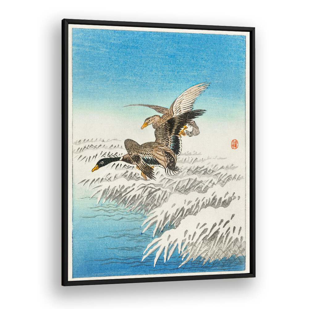 PAIR OF DUCKS FLYING OVER SNOWY REED COLLAR (1900 - 1945) , JAPANESE PAINTINGS , JAPANESE ART PRINTS