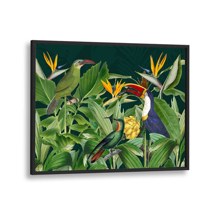 RAINFOREST BIRDS BY ANDREA HAASE , WILDLIFE POSTERS, WILDLIFE PAINTINGS