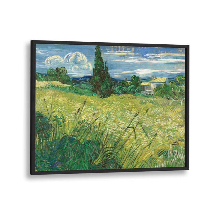 VINCENT VAN GOGH - GREEN FIELD,  VINTAGE PAINTINGS