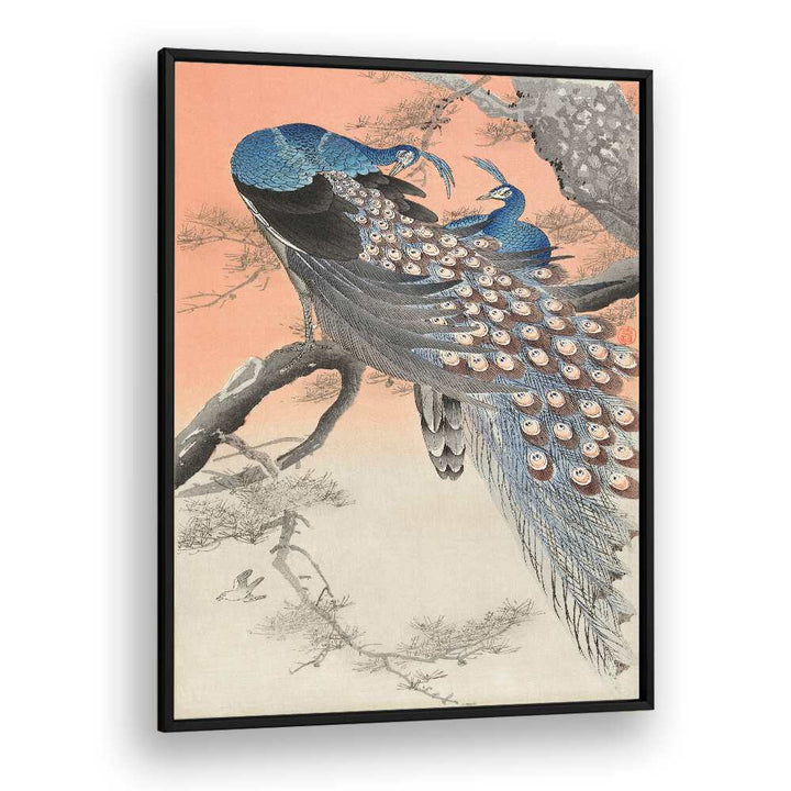 TWO PEACOCKS ON TREE BRANCH (1900 - 1930) , JAPANESE PAINTINGS , JAPANESE ART PRINTS