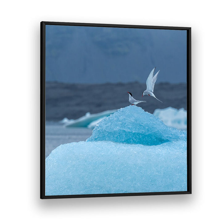 DANCING ON ICE BY MARC PELISSIER , LANDSCAPE PHOTO PRINTS