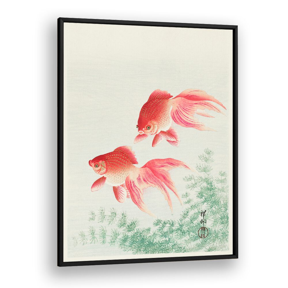 TWO VEIL GOLDFISH (1926)  , JAPANESE PAINTINGS , JAPANESE ART PRINTS