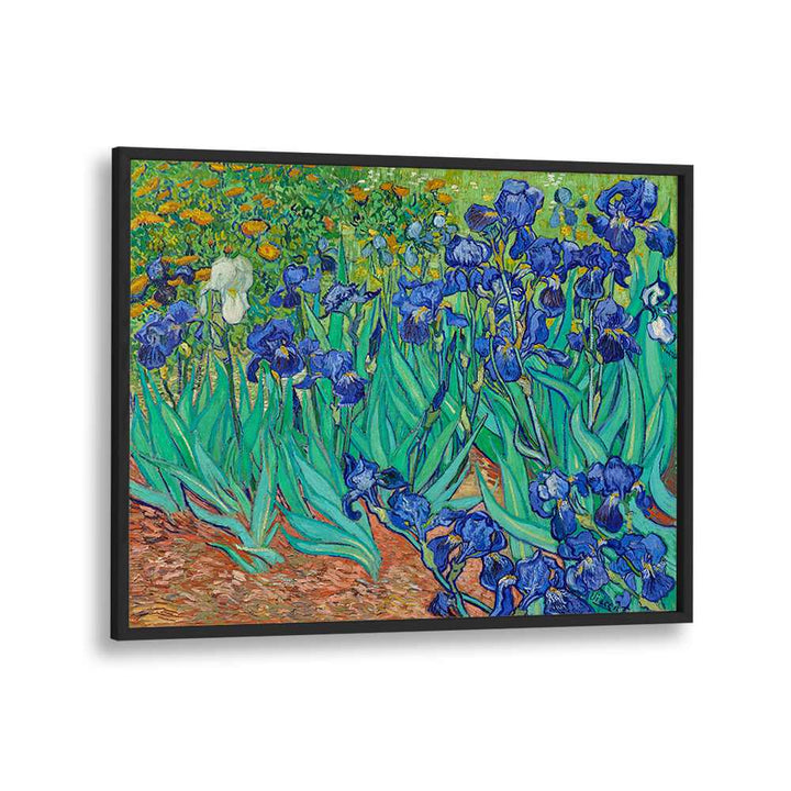 VINCENT VAN GOGH'S IRISES (1889) , VINTAGE PAINTINGS