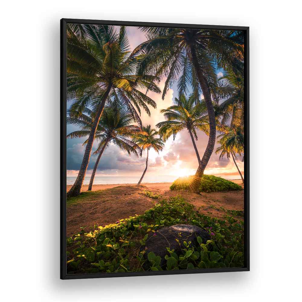 VERTICAL PARADISE , LANDSCAPE PHOTO PRINTS , LANDSCAPE PHOTOGRAPHY