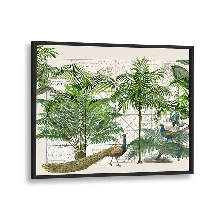 TROPICAL EMPIRE VI BY ANDREA HAASE , WILDLIFE POSTERS , WILDLIFE PAINTINGS