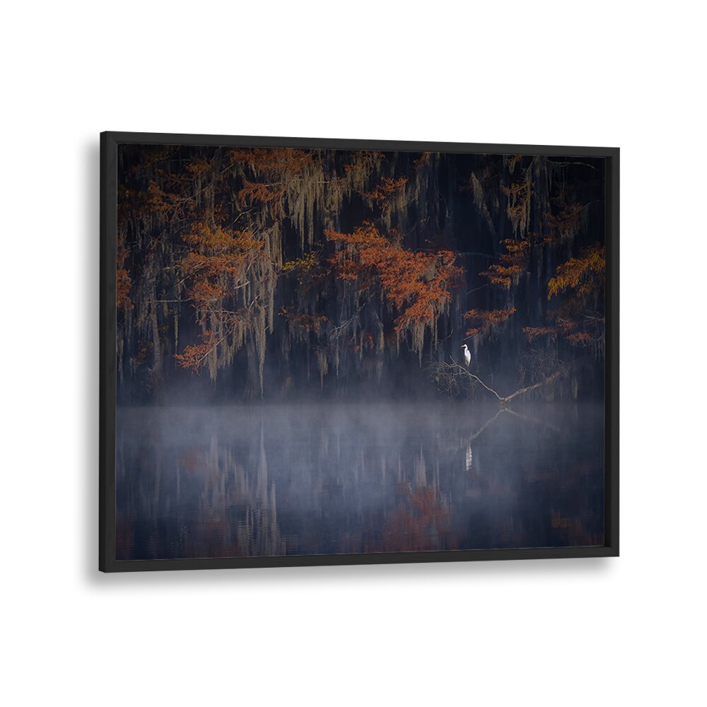 Serene mist envelops a tranquil landscape, capturing the essence of MISTY MORNING, PHOTOGRAPHY PRINTS for your home.