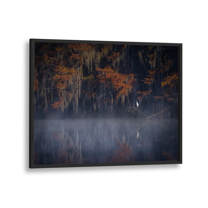Serene mist envelops a tranquil landscape, capturing the essence of MISTY MORNING, PHOTOGRAPHY PRINTS for your home.